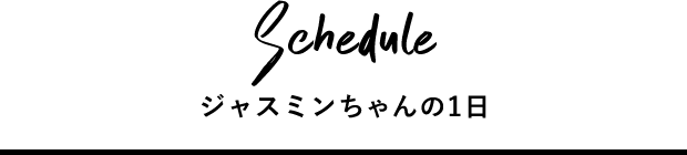 あいちゃんの1日